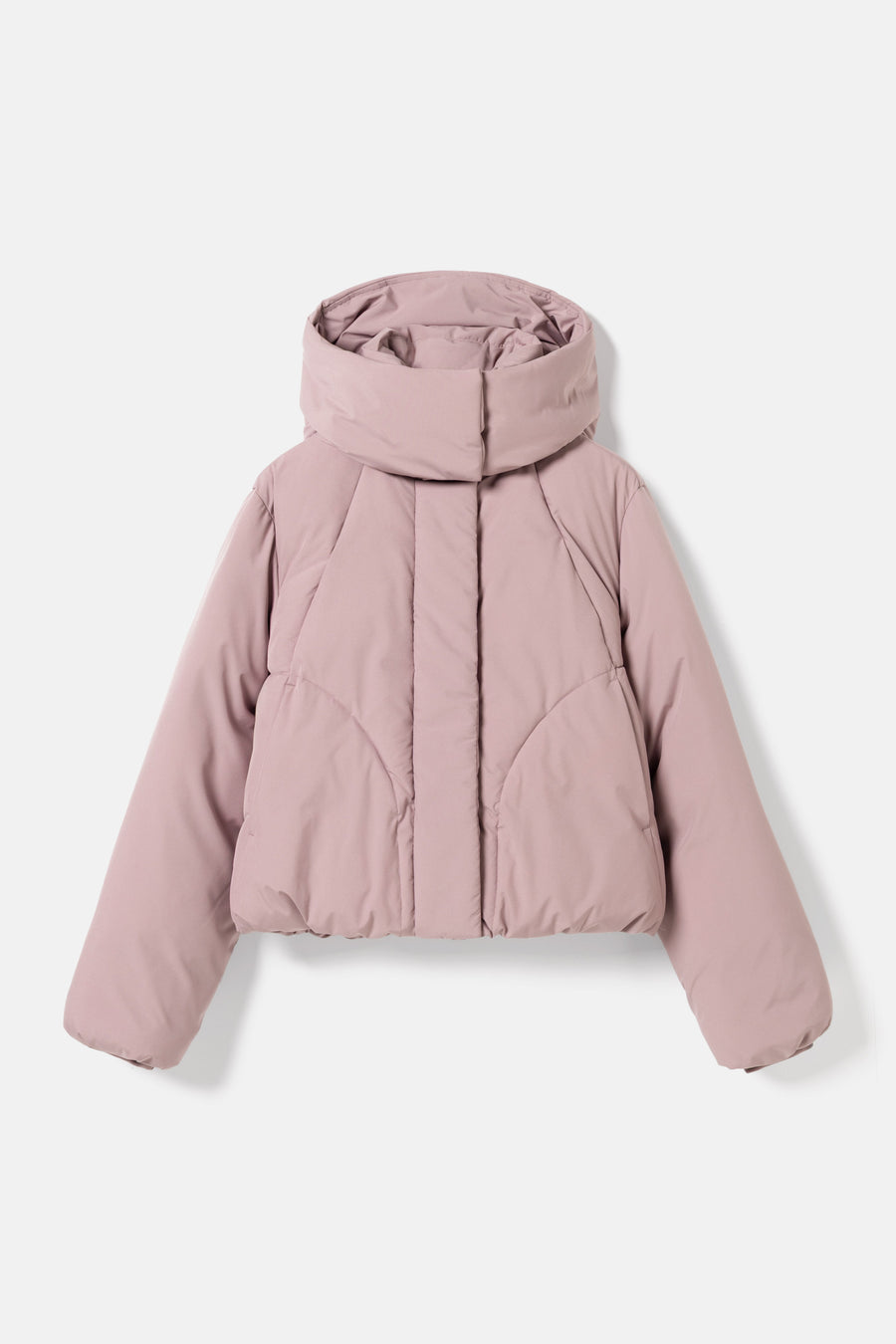 Annabelle purple dove