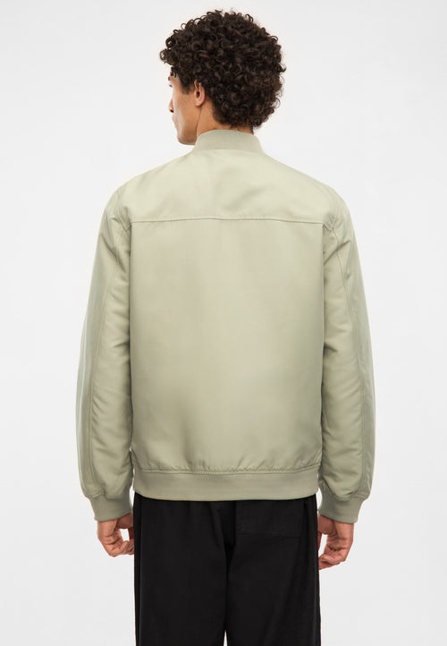 Rex silver green
