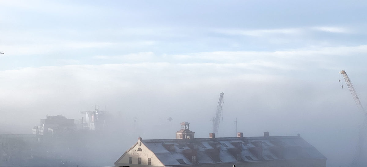 Lagerhuset och hamnkranar i Göteborg som tittar fram ur morgondimman